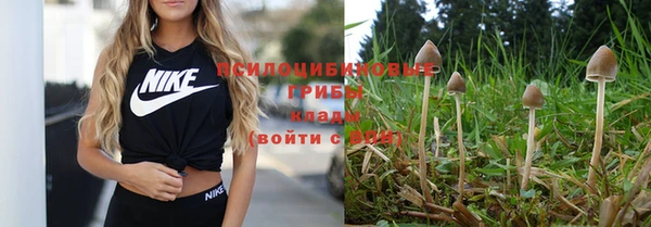 прущие крисы Абинск