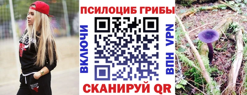 Псилоцибиновые грибы Psilocybine cubensis где купить наркоту OMG ссылки Мыски